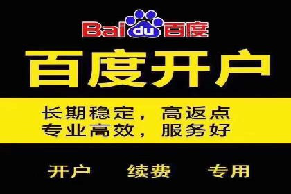 百度SEO推广成功案例：品牌知名度提升