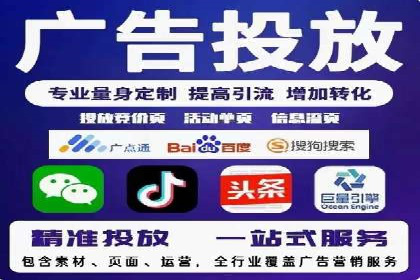 行业领先企业的SEM广告策略与效果分析